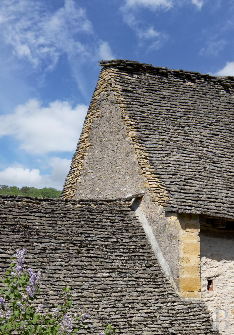 An old fortified house and its extensive grounds in the Périgord Noir, in the Dordogne - photo  n°20